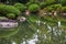 The traditional Japanese garden in the inner bailey of Osaka Castle. Japan