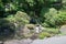 Traditional Japanese Garden at Jiunji Temple in Shimosuwa, Nagano Prefecture, Japan. a famous historic