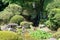 Traditional Japanese Garden at Jiunji Temple in Shimosuwa, Nagano Prefecture, Japan. a famous historic