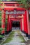 A traditional Japanese gate as the entrance of a Shinto shrine
