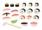 traditional Japanese meal with spicy seafood, tuna salmon and shrimps. Vector isolated set