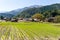 Traditional Japanese Shirakawago village and rice field