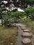 Traditional Japanese stroll garden with stepping stone pathway