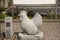 Traditional japanese style rock sculpture and carving as animal stone chicken  one of 12 Zodiac at Narita old town in Chiba, Japan