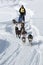 Traditional Kamchatka Dog Sledge Race Beringia