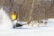 Traditional Kamchatka dog sledge race Elizovsky sprint