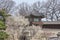 Traditional korean pavilion in spring