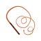 Traditional leather whip vector Illustration on a white background