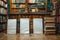 Traditional Library Interior with Wooden Bookshelves and Blank White Canvases on the Floor