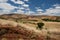 Traditional Madagascar highland landscape