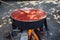 Traditional making tomato paste in boiler with wood fire in the village