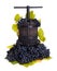 Traditional manual grape pressing utensil with blue grapes