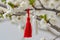 Traditional Martisor, martenitsa red white tassels tied to flowering branch, heralding spring on blossoming Branch. Moldavian,