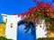 Traditional Mediterranean house with a stone fence and a large blue door decorated with flowering plants. Front bottom view