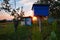 Traditional mobile honey farm apiary sunset nature leaves garden