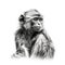 Traditional Monkey in Impressionistic Realistic Blackwork Style on White Background for Posters and Web.
