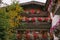 Traditional mountain house with flowering balcony, Livigno, Sondrio