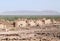 Traditional mud houses berber village