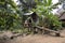 Traditional native american outdoor cooking oven in the rainforest of Amazon River basin in South America