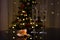 Traditional New Year`s table, tangerines, champagne, Christmas tree and New Year`s lights