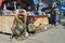 Traditional Norwegian troll figure on the street in front of a souvenir gift shop in Oslo, Norway.