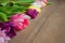 Traditional objects for mother`s day isolated on wooden background tulips buds