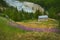 Traditional old alpien architecture with willow herbs