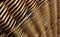 Traditional Old Wicker Natural Rattan Pattern Texture Angle View Stock Photo