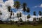 Traditional and original village with palmtrees in West Papua