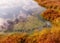 Traditional peat bog landscape, bog vegetation painted in autumn, grass, moss covers the ground