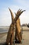 Traditional Peruvian reed boats (Caballitos de Totora), straw boats that are still used by local fishermen in Peru