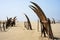 Traditional Peruvian small Reed Boats (Caballitos de Totora), straw boats still used by local fishermens in Peru