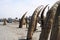 Traditional Peruvian small Reed Boats (Caballitos de Totora), straw boats still used by local fishermens in Peru