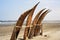 Traditional Peruvian small Reed Boats (Caballitos de Totora), straw boats still used by local fishermens in Peru