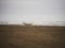 Traditional peruvian Totora Balsa reed fishing boat raft canoe on Pimentel Beach Lambayeque Peru South America