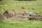 Traditional peruvian village stone houses