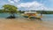 Traditional philippine boat on the mangrove river at Busuanga