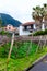 Traditional Portuguese home in Madeira