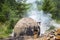 Traditional production of charcoal in the forest