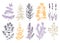 Traditional Provence herbs collection - savory, marjoram, rosemary, thyme, oregano, lavender. Hand-sketched kitchen herbs,