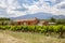 The traditional provence house and a vineyard
