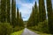 A traditional public countryside road lined with cypresses