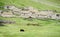 Traditional quechua stone houses