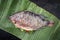 Traditional raw Thai tilapia fish staffed with line lemon grass and chili on a banana leaf