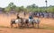 Traditional recreational sport activity in Jaffna