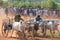 Traditional recreational sport activity in Jaffna