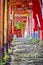 Traditional Red Torii Gates with Walkway at Koyasan Mountain Shrine in Japan in Fall