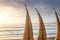 Traditional reed boats called Caballitos de totora - Huanchaco, Trujillo, Peru