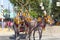 Traditional riding horse carriages celebrating Seville`s April Fair.