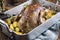 Traditional roasted Christmas duck with potatoes, apples and quince in a classic casserole